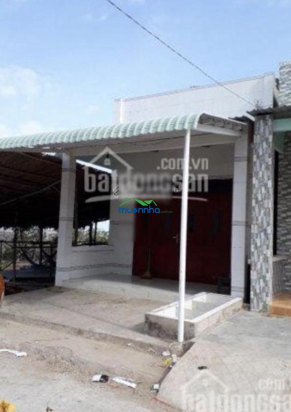 Bán nhà mặt tiền bờ kè đảo thạnh an, đối diện siêu cảng cần giờ - 4