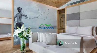 Khan hiếm! 7 chdv ngay nguyễn văn thủ, q. 1, 4,5mx16m, hầm, 6t, thang máy, hđ thuê 80 triệu/tháng - 3