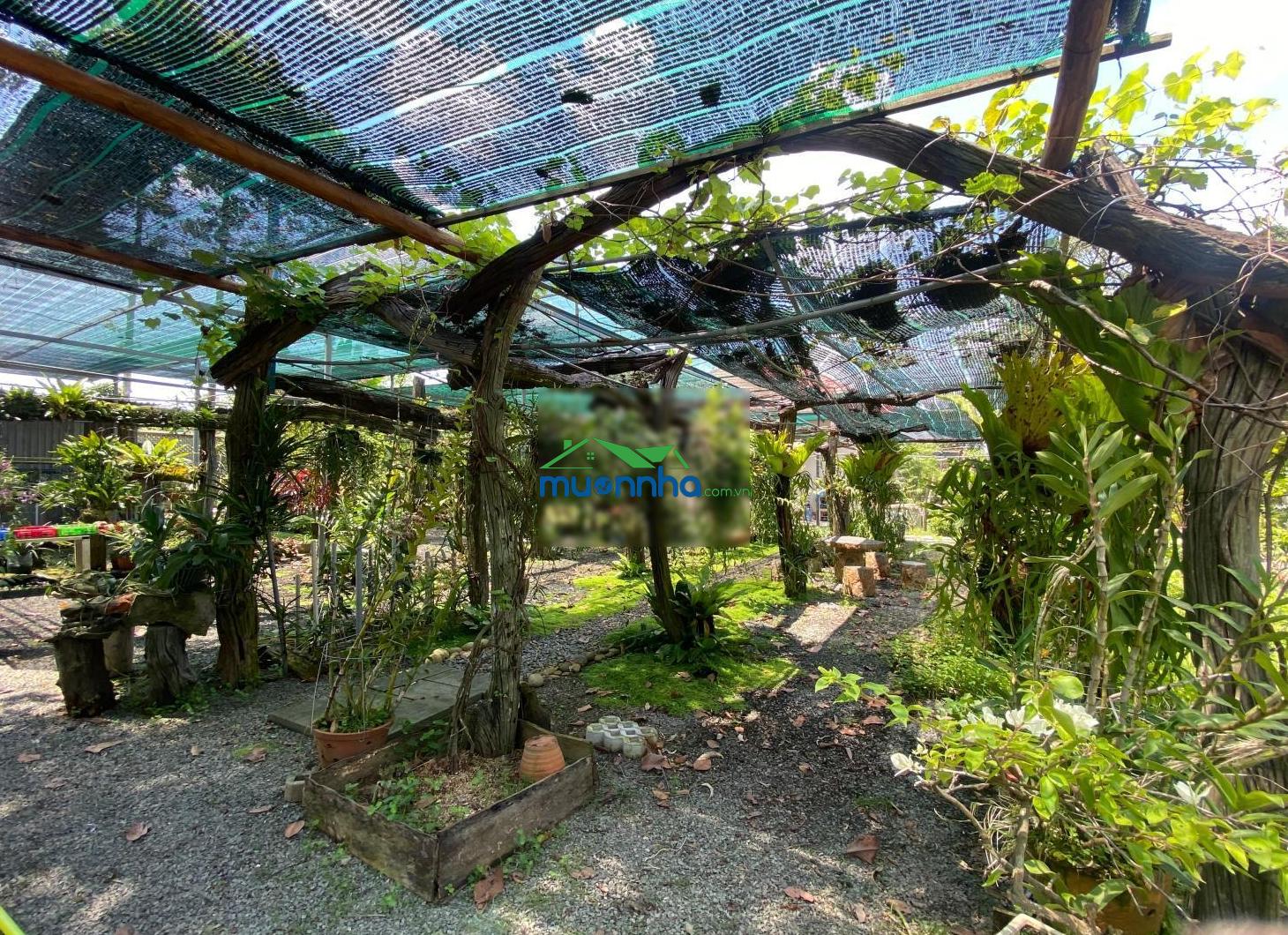 Bán đất nghỉ dưỡng vị trí đẹp trung tâm tp. thủ dầu một đường hồ văn cống - 2