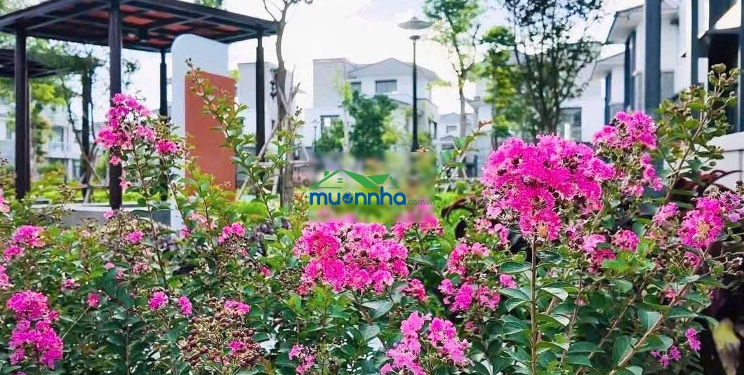 Nhà phố liên kế vườn 41,052 tỷ full đầy đủ nội thất đường 25m. nhà mới 100% mua trực tiếp cđt - 4