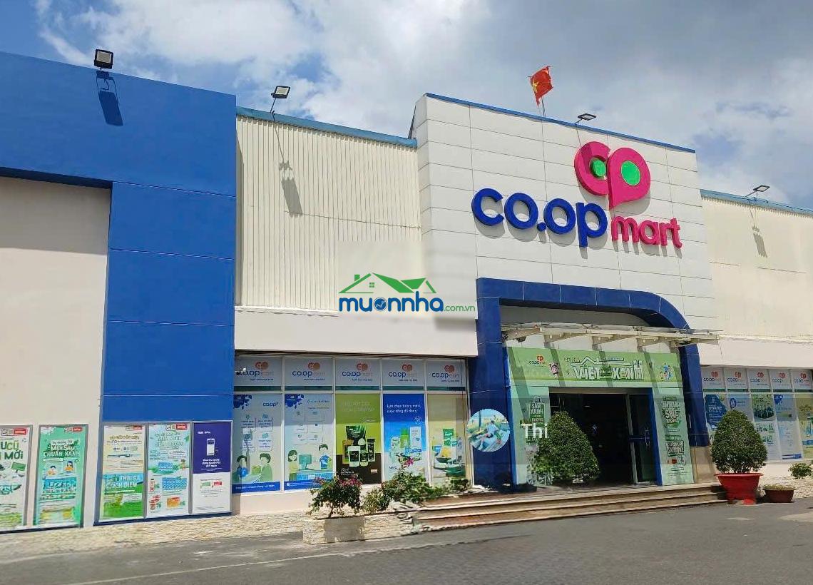 Căn trọ 5 phòng thu nhập 7 triệu/tháng, giá 1,4 tỷ gần kcn tây bắc, củ chi, sổ hồng riêng chính chủ - Ảnh 3