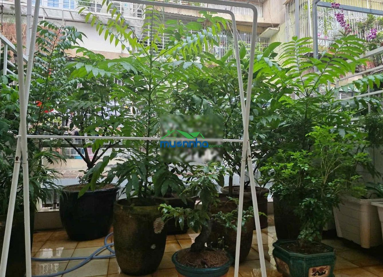 Bán nhà trung tâm an khánh quận 2 - nhà 3 tầng đường số 3 khu chung cư bộ công an. - Ảnh 2
