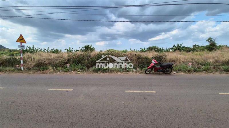 Cần bán đất mặt tiền đường lớn liên xã long giao - bảo bình, shr đẹp.