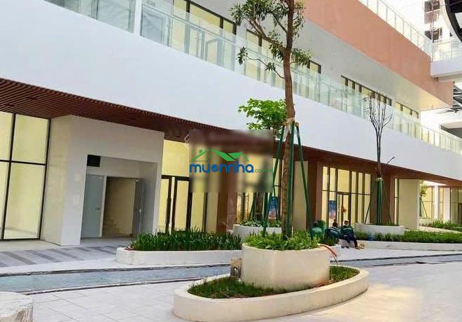 Sở hữu shophouse không thời hạn tại d-aqua chỉ từ 65 triệu/m đã bao gồm vat