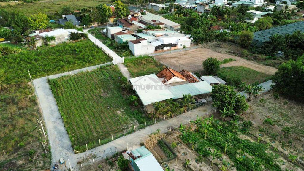 Bán gấp 2230m2. nhà 3mt.thị trấn củ chi  giá siêu rẻ.45x48 300m2 tc - 2