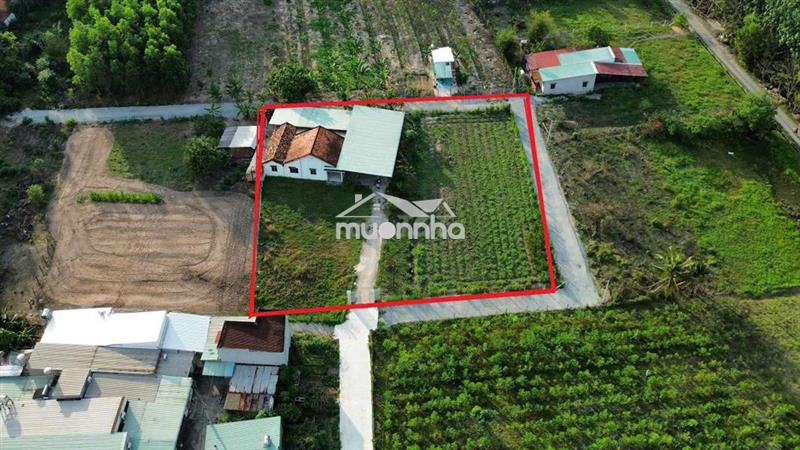 Bán gấp 2230m2. nhà 3mt.thị trấn củ chi  giá siêu rẻ.45x48 300m2 tc