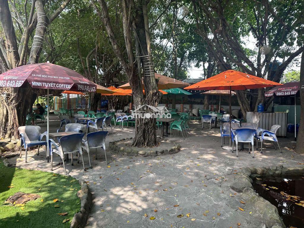 Sang quán cafe sân vườn hoa lá - 2