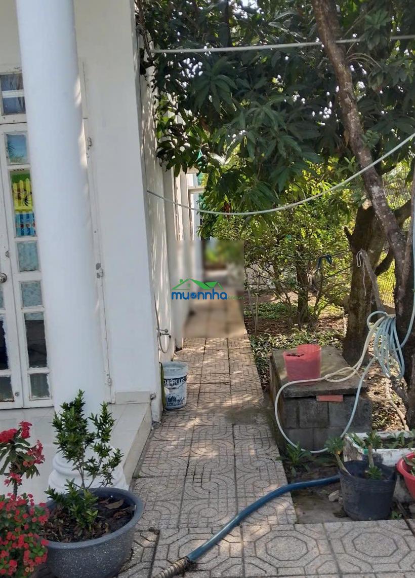 Bán nhà riêng đường suối lội, tân thông hội, củ chi, 1,4 tỷ, 150m2 sổ hồng riêng, đường oto