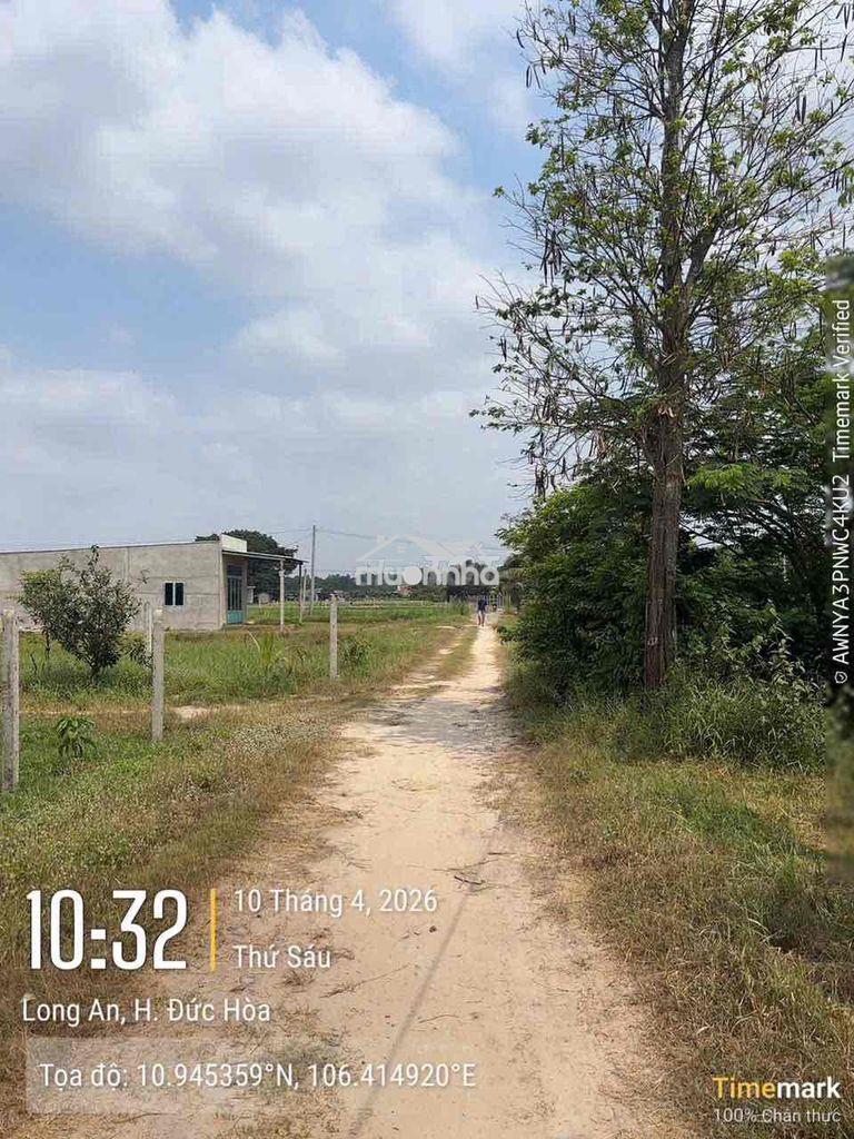 Ngân hàng thanh lý tài sản: xã tân mỹ, huyện đức hoà, long an