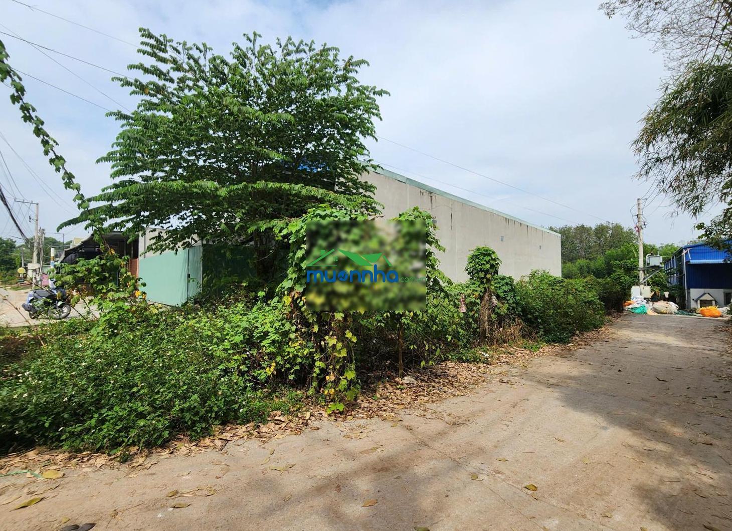 Lô góc 346,7 m² mặt tiền 7m đường đx-14, phường tân vĩnh hiệp, tp tân uyên, bình dương