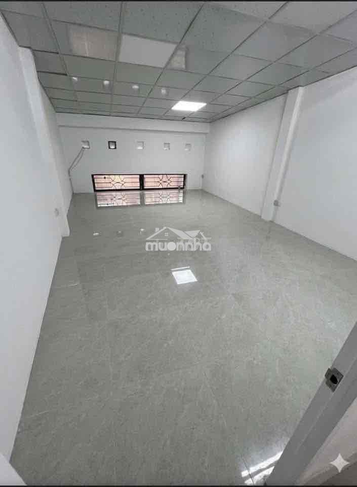 Cần cho thuê nhà mới hẻm tải tân kỳ tân quý 4 x 18m 1 lầu 2pn - 3