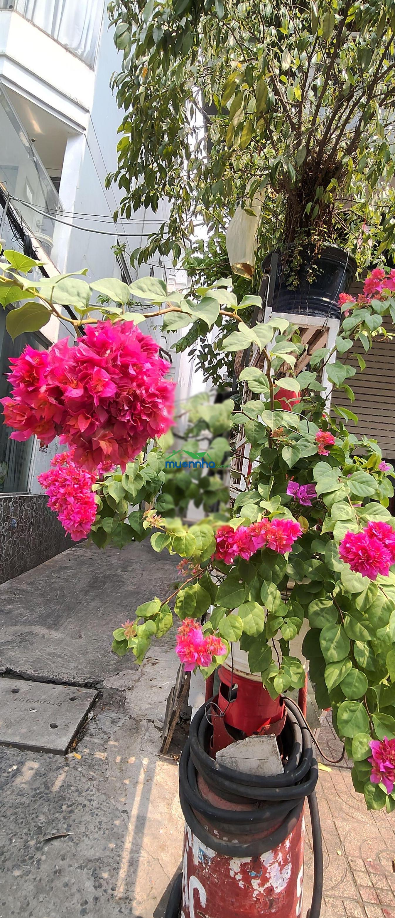 Siêu phẩm full nội thất cao cấp 1 căn ra mặt tiền dương bá trạc nhỉnh 5 đồng