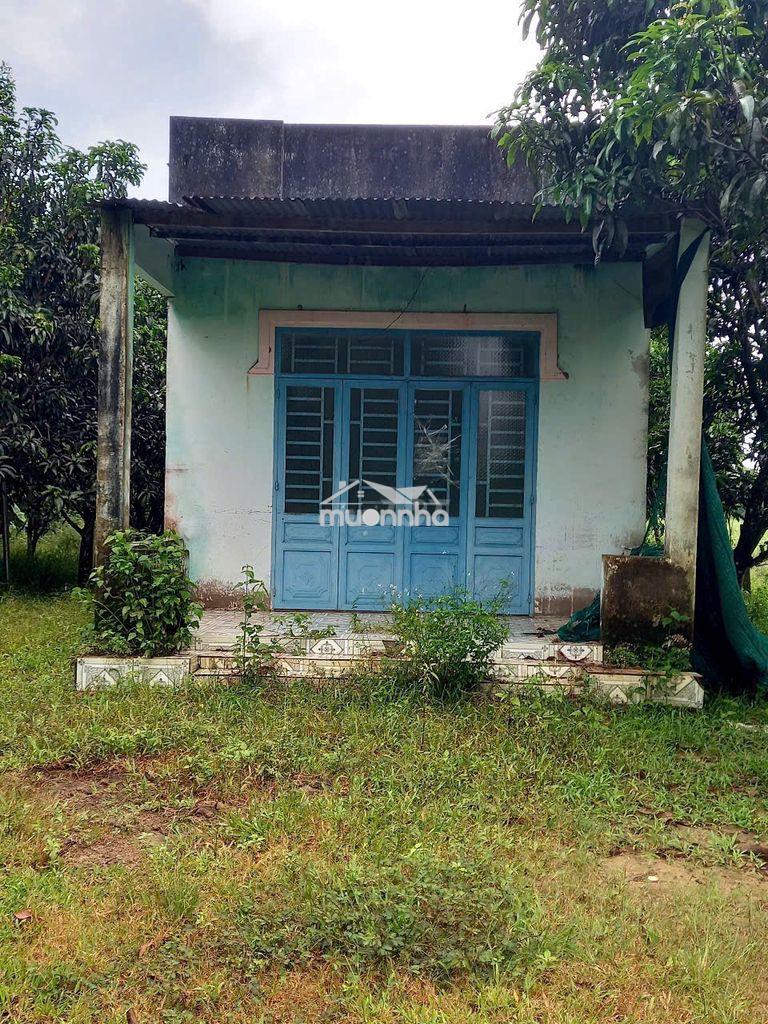 Nhà vườn giáp suối quanh năm, 300m² thổ cư, có nhà sẵn chỉ 1,8 tỷ - 4
