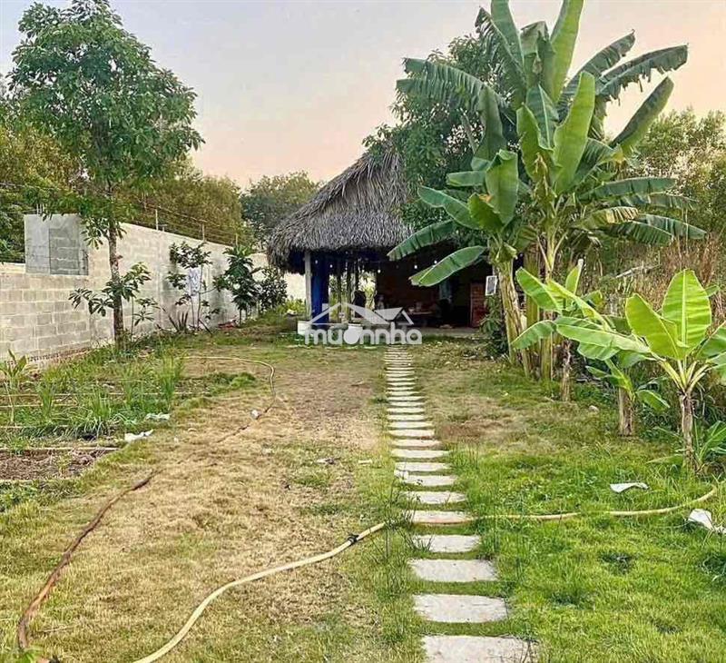 Chủ kẹt tiền