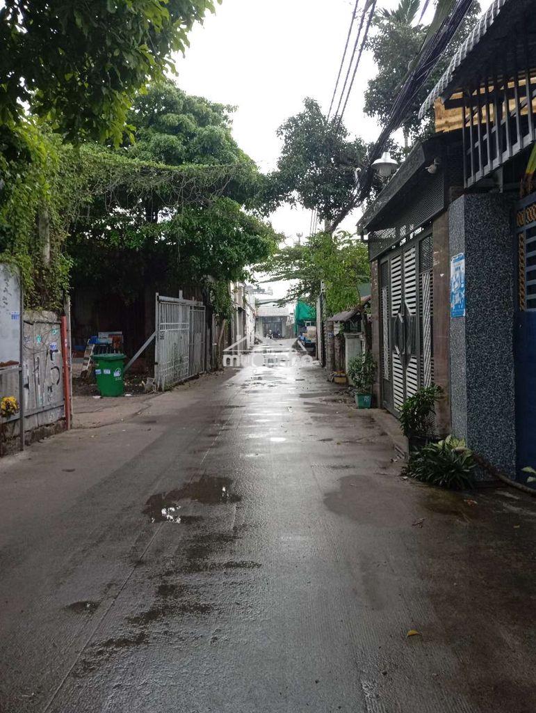 Hẻm 41 tam binh phường tam phú ( tam bình mới ). thành phố thủ đức