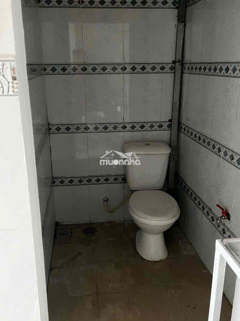 Nhà trọ hẻm 116 bùi tư toàn an lạc binh tân - 2