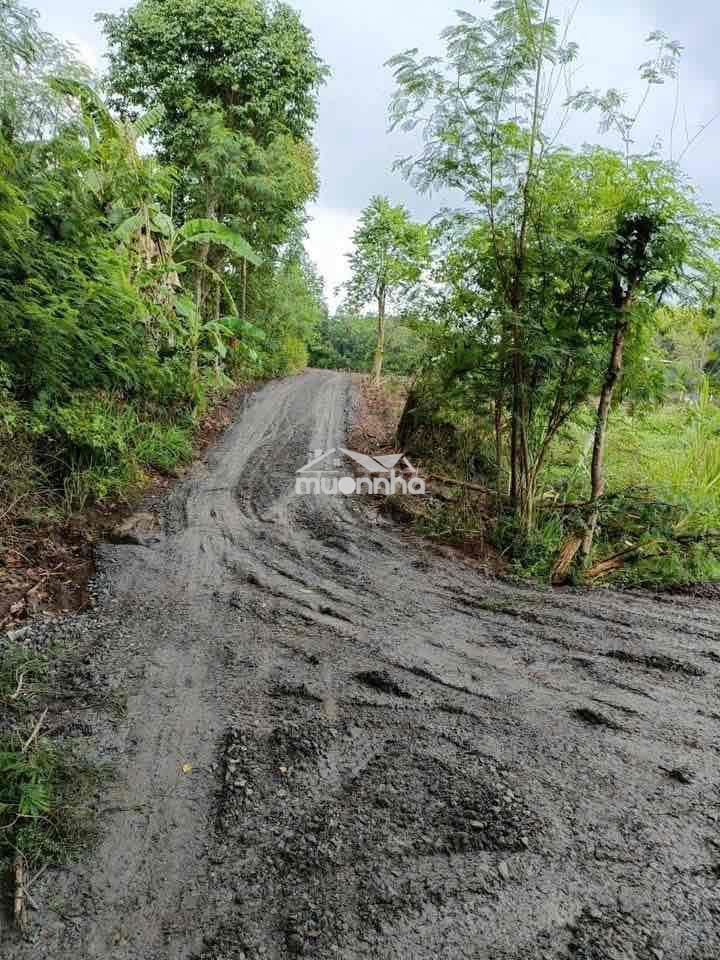 Chính chủ cần bán lô đất 2mt- 6,1 sào view suối gia lào,xuân thọ cũ ch - 2