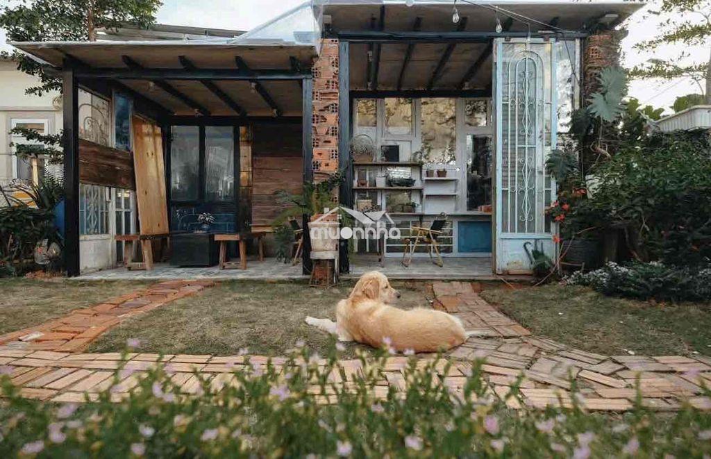 🏡 Cho thuê villa sân vườn p8 đà lạt  📍 đường trần đại nghĩa, phường 8, - 4