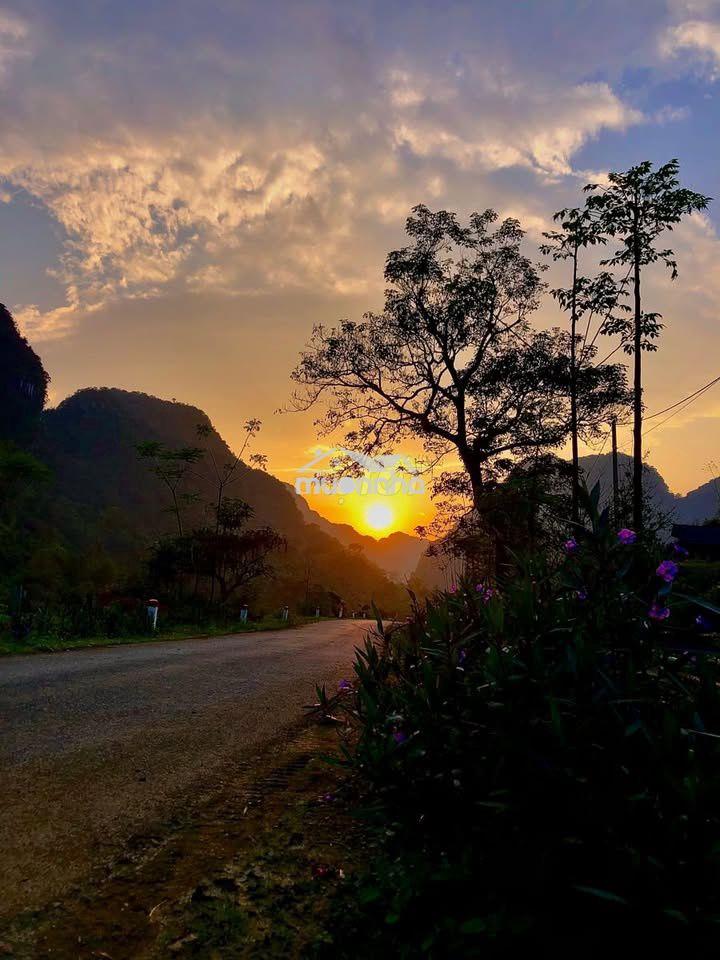 🌿 Đất vườn view hồ trị an – không gian yên bình, giá chỉ 999 triệu/sào - 2