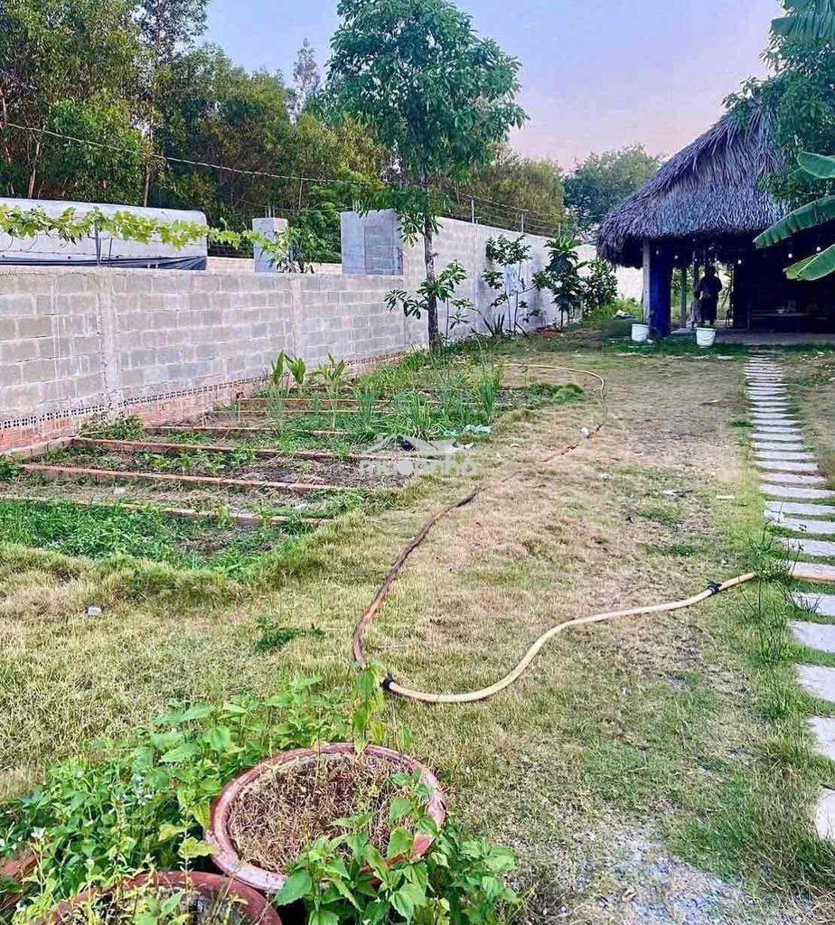 Bán gấp miếng đất - 2