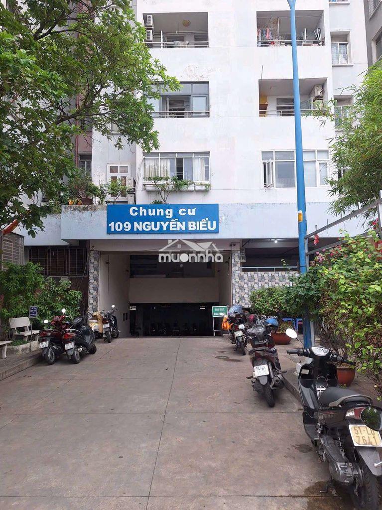 🏠🏠 Chính chủ bán ch chung cư 109 nguyễn biểu, p1, - 2