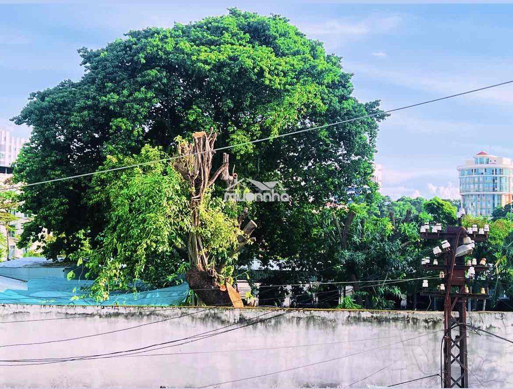 Cho thuê nguyên căn studio - hẻm 214 nguyễn trãi - 3