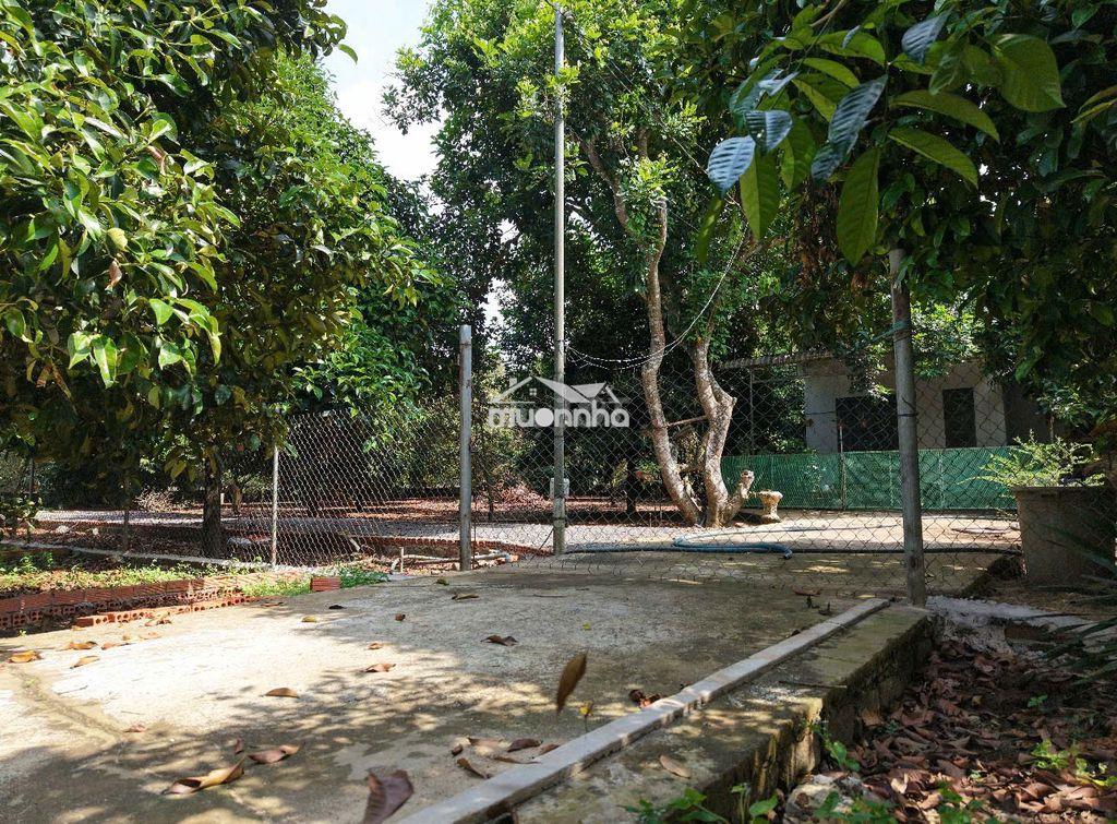 🏡 Ngộp nh cần bán gấp lô đất full thổ cư ngay phường dầu giây–tp đnai - 3
