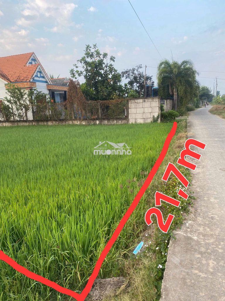 Gđ cần bán 1000m² đất – bến lức – long an
