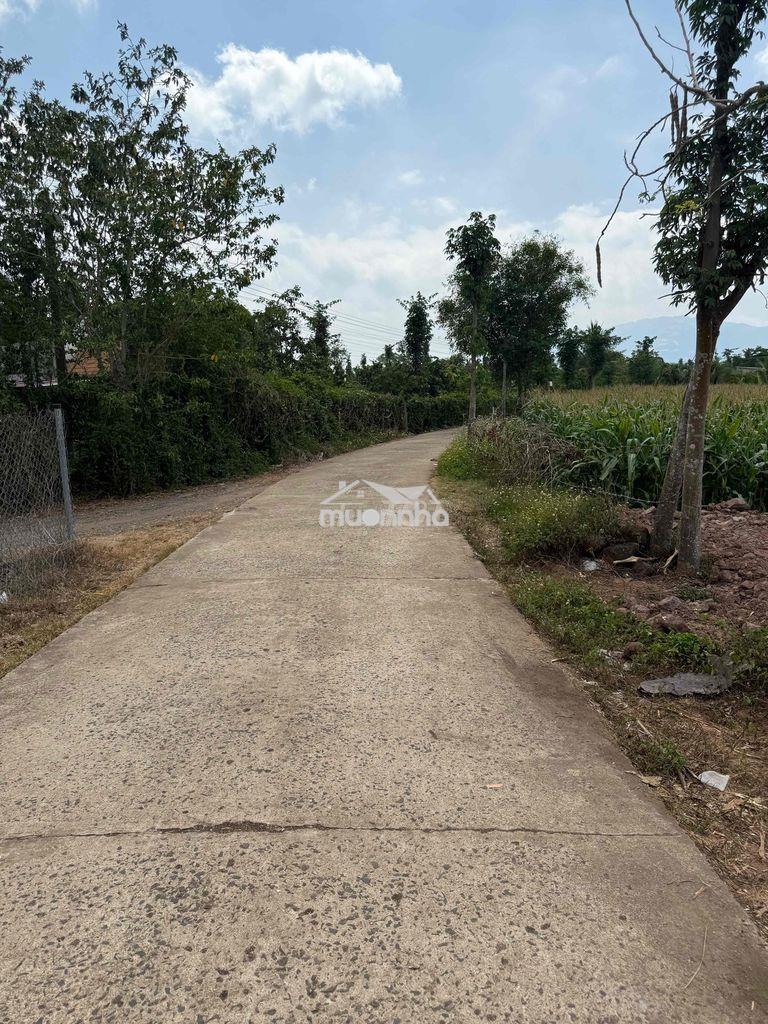 Bán 120m2 đất thổ cư sổ riêng. xuân lộc,tp đồng nai gần núi chứa chan - 3