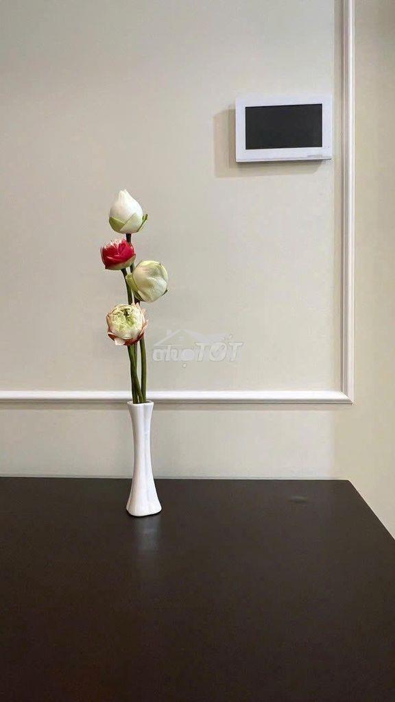 Hot !! cho thuê studio full nt đẹp xịn xò giá 6tr5/tháng - 3