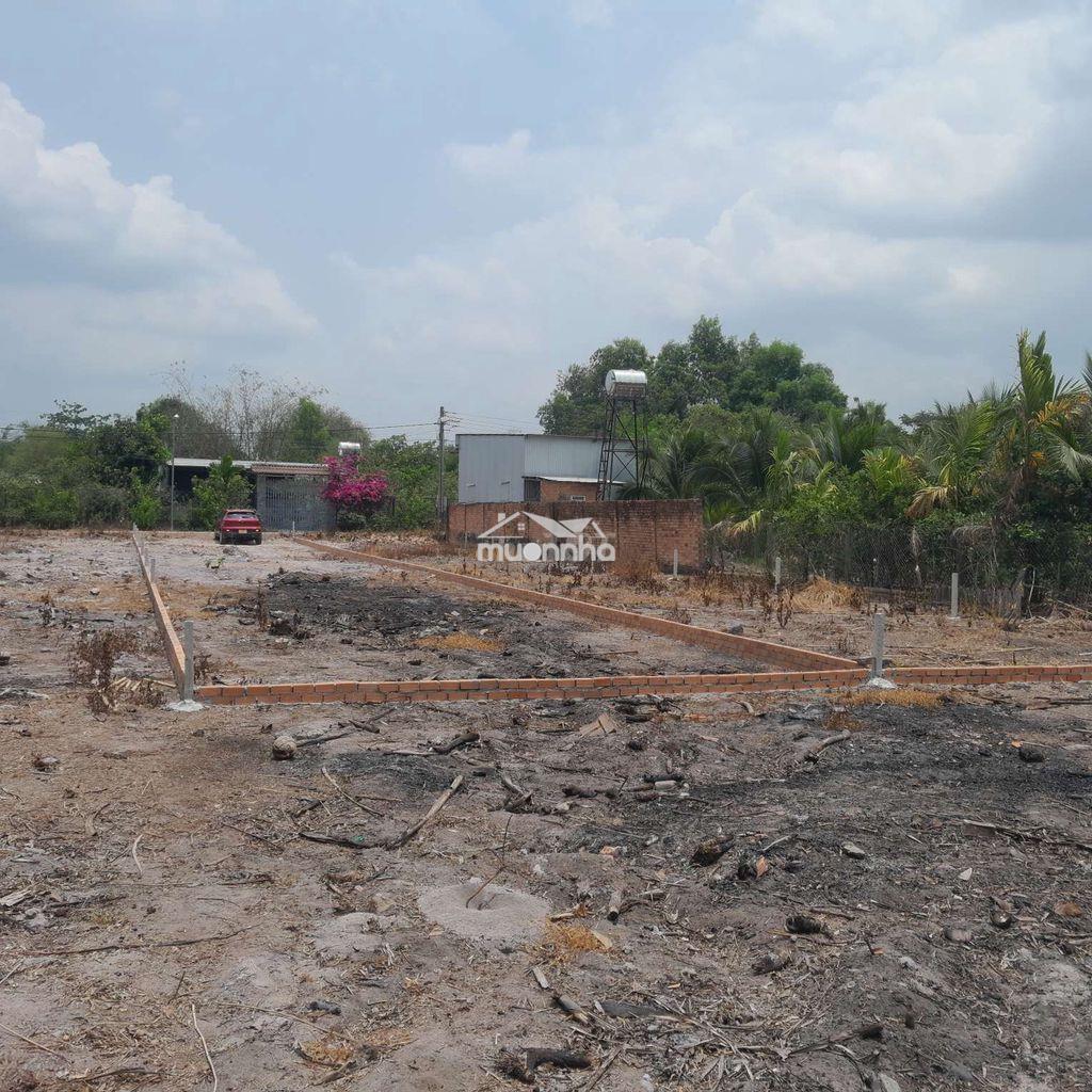 Bán đất phú điền, phú hòa, đồng nai - 2