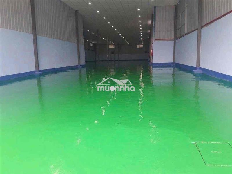 ❇️Cho thuê xưởng 1200m thuận an