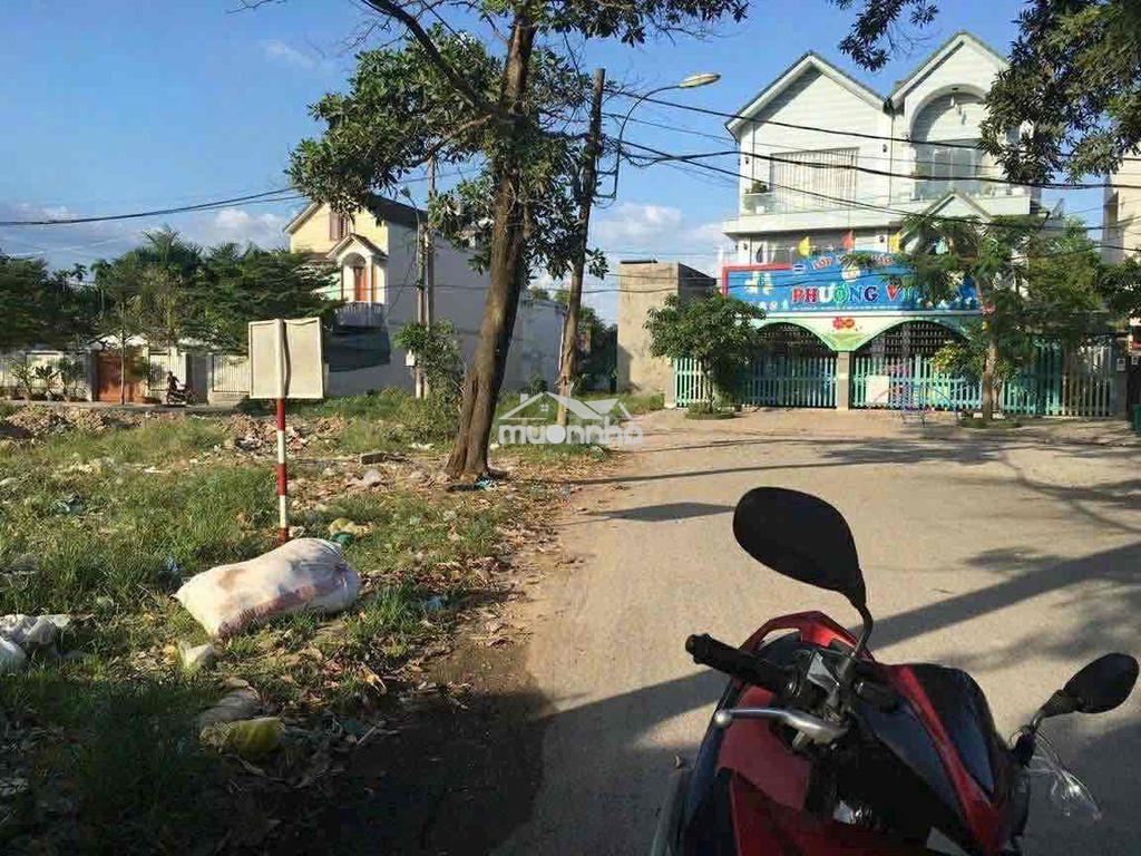 Cho thuê đất bà điểm hóc môn - 2