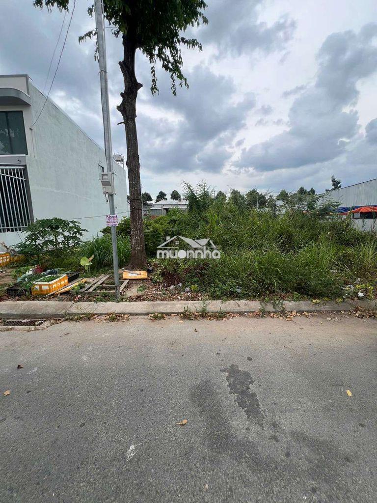 Cặp nền 180m² (10 × 18) đất ở đô thị -  khu công nghiệp hoàng quân - 4