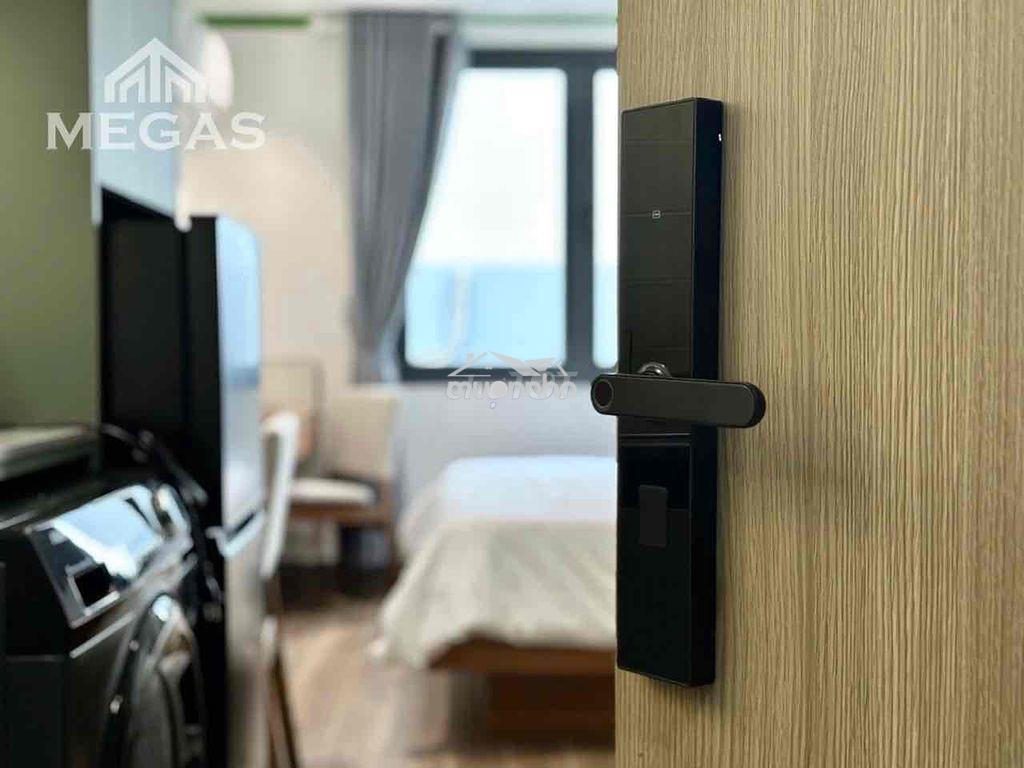 Cho thuê căn hộ mới bốc seal ở trương định q3 đầu tư cao cấp giã rẻ - 4