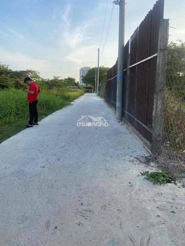 Đât 5x15m kdc đông đúc - 3