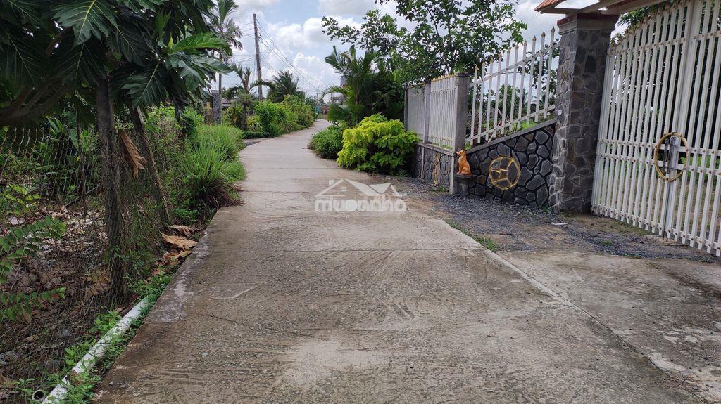 Bán 2345 m2 đất, thạnh đức, bến lức, long an - 3