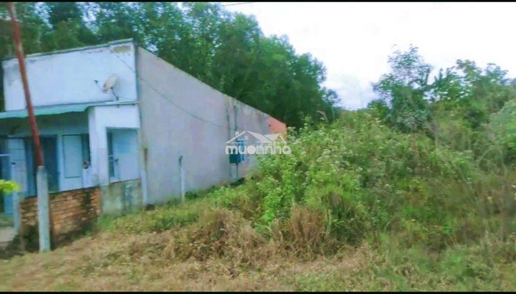 Bán 1233m2 đất thổ cư - mặt tiền bê tông ! - 2