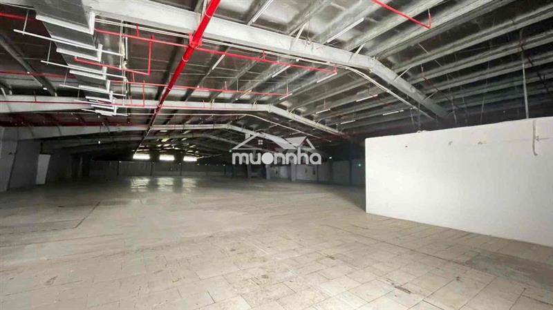 Cho thuê kho 1  trệt 1 lầu dt 4000m2 taji thuận an