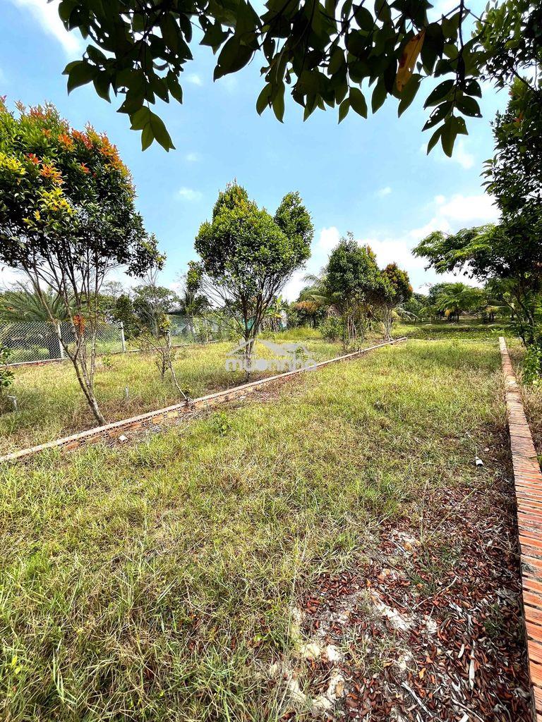 Bán lô đất vườn, tổng dt 6500m2, có 300m2 thổ cư, giá 5.5 tỷ ( tl) - 3