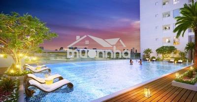 Cần nam ở ghép - Ảnh 3