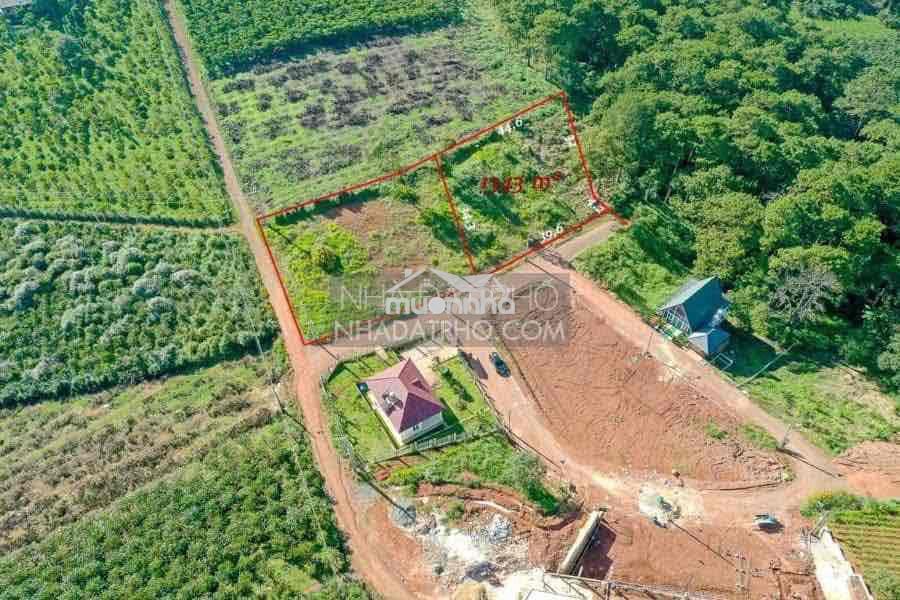 Bán 1.343m2 (1.35 xào)  ngang 40x35 m trung tâm dambri tp bảo lộc - 2