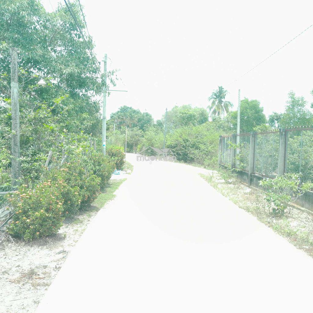 Bán đất phú điền, phú hòa, đồng nai - 4