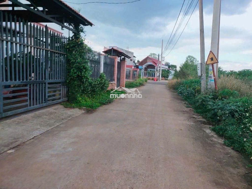 Bán đất hưng thịnh thành phố đồng nai - 2