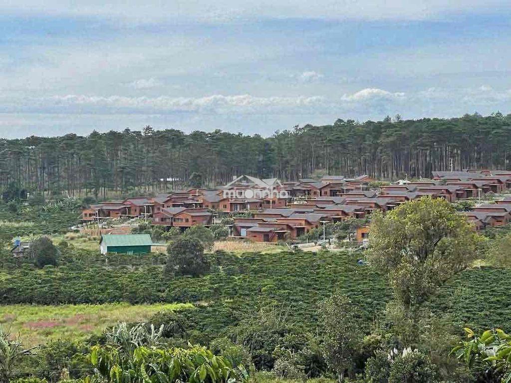 Chính chủ bán 3.300m² đất b lá gần eco tropicana – 200m² thổ cư – view - 3