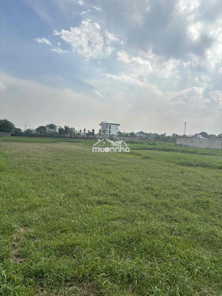 Bán đất cây lâu năm mặt tiền hẻm nhựa ô tô tải - 2
