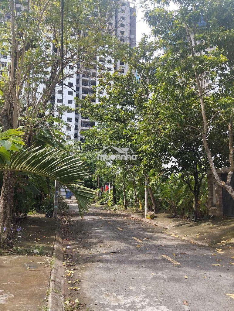 Đất hướng đông kdc phú lợi p7q8 - 3