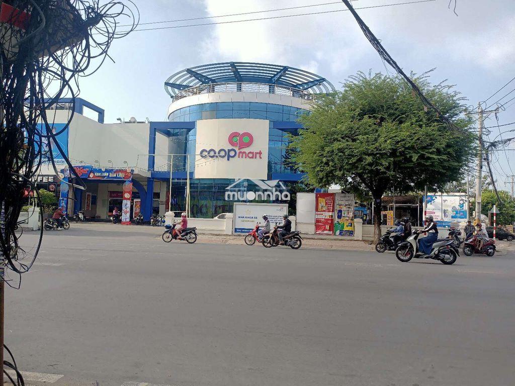 Bán đất - 4
