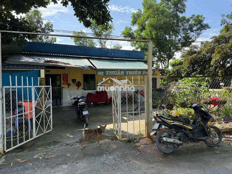 Cho thuê nhà vườn bình chánh