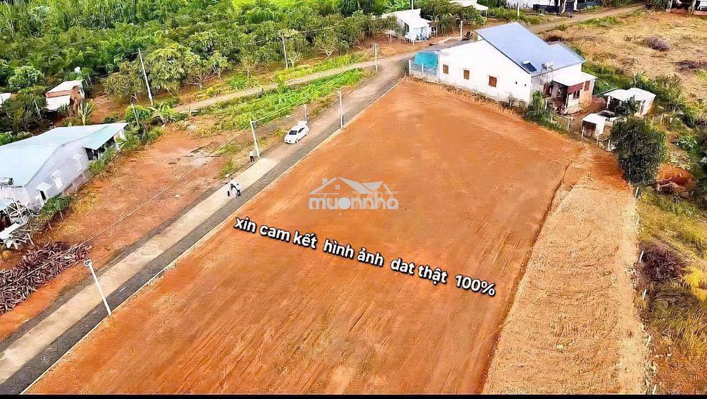 Cần bán đất phường đồng tâm tp đồng nai mới - 3